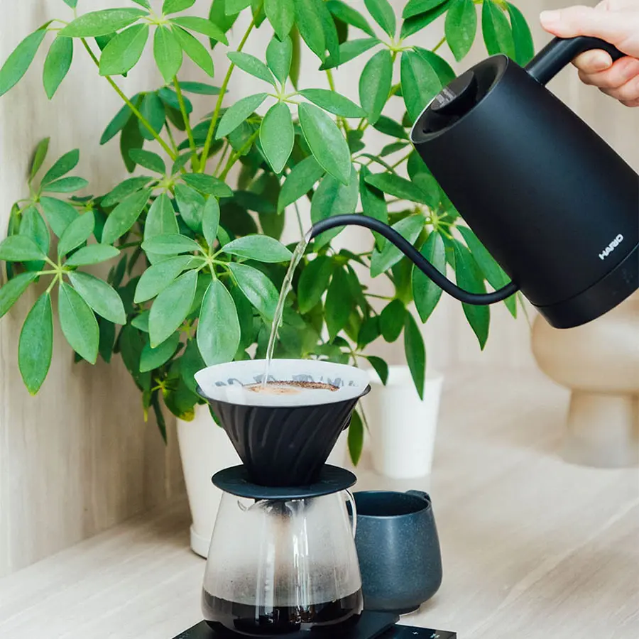 Electric Kettle Lyra 800 ml - Black
