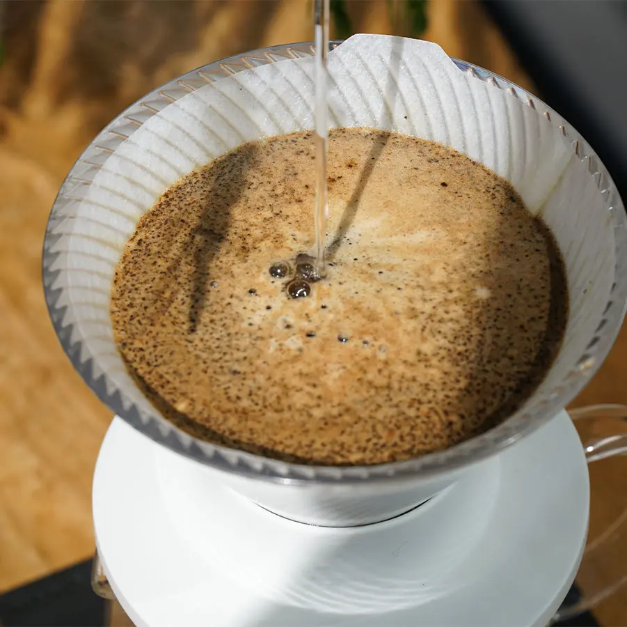 V60 Dripper NEO 01 - Transparent