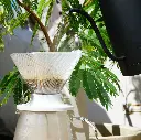 V60 Dripper NEO 02 - Transparent
