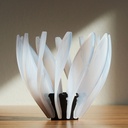 SUIREN Rib 6-Piece Set - Transparent White