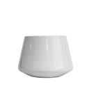 [CCPS] Graycano Cupcano Porcelain White - Small