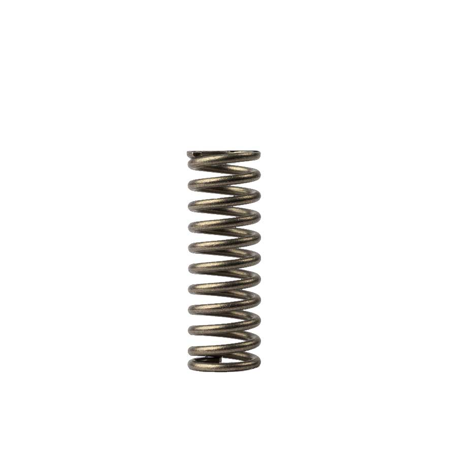 Spring only for C60 - Stainless Steel